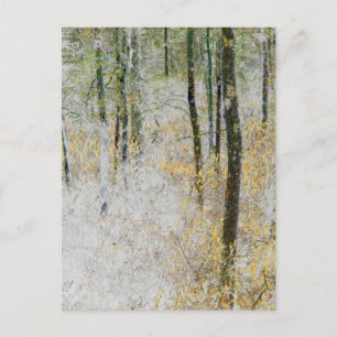 Postal "Silencio" - Foto transformada de árboles en un bo