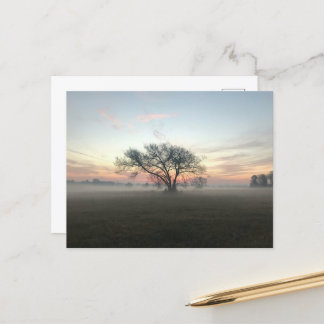 Postal Silhoueteado de árbol en campo polvoriento
