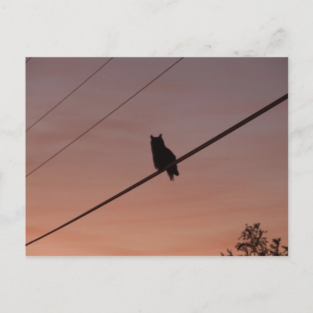 Postal Silhouette Beauty (Anverso)