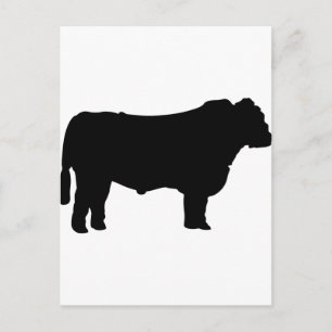 Postal Silhouette Black Angus