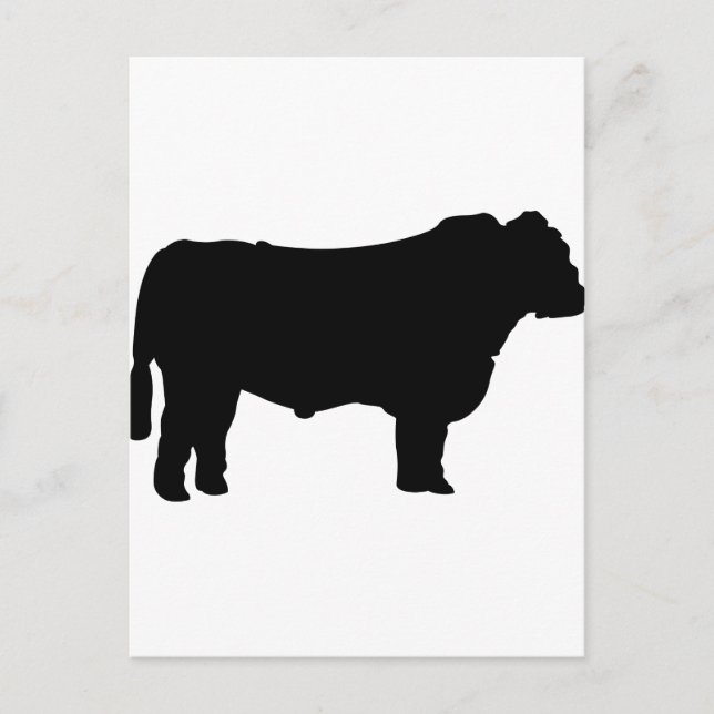 Postal Silhouette Black Angus (Anverso)