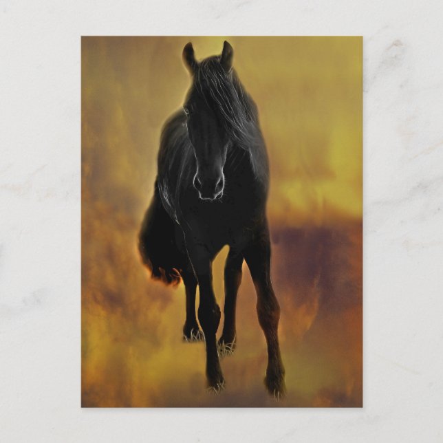 Postal Silhouette Black Horse (Anverso)