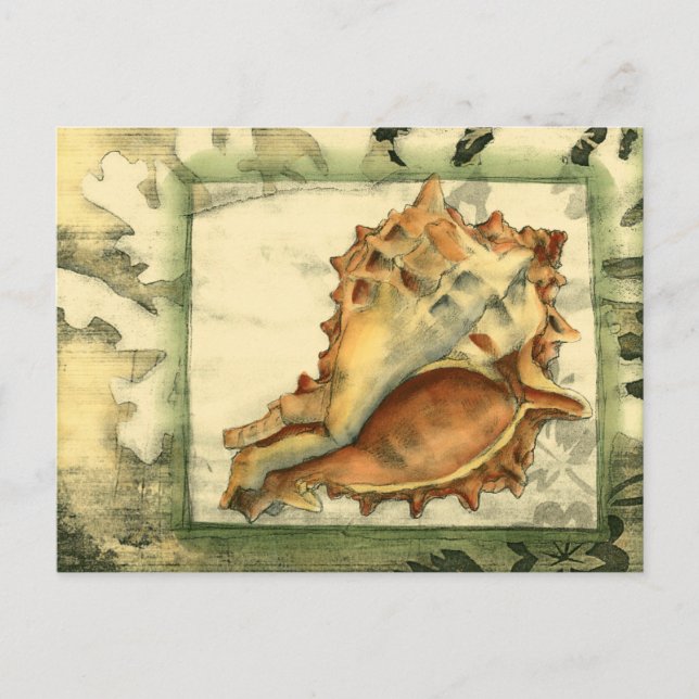 Postal Silhouette Conch Shell (Anverso)