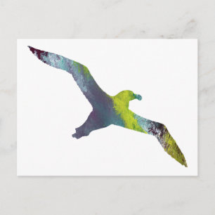 Postal Silhouette de Albatross Animal