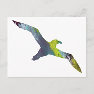 Postal Silhouette de Albatross Animal