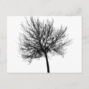 Postal Silhouette de árbol