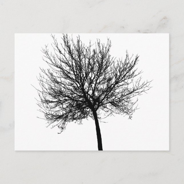 Postal Silhouette de árbol (Anverso)