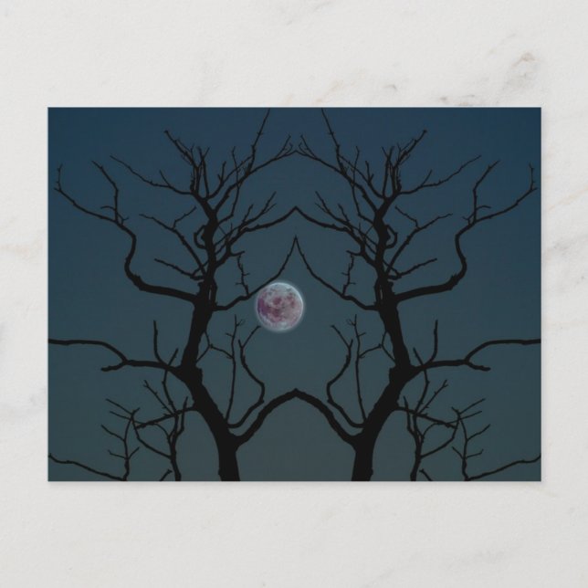 Postal Silhouette de árbol de luna (Anverso)