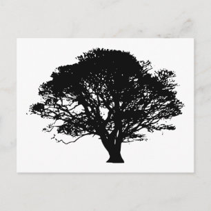 Postal Silhouette de árbol de manzana