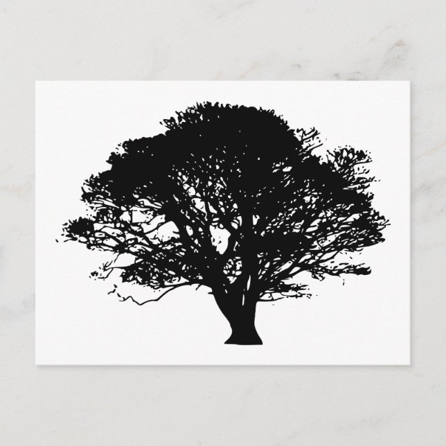Postal Silhouette de árbol de manzana (Anverso)