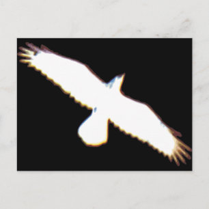 Postal Silhouette de aves voladoras