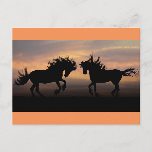 Postal Silhouette de Caballos Salvajes (Anverso)