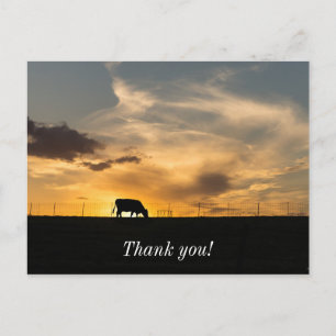 Postal Silhouette de Cattle Sunset