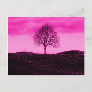 Postal Silhouette de un árbol solitario, paisaje rosa cal