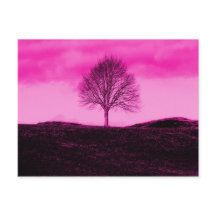 Silhouette de un árbol solitario, paisaje rosa cal