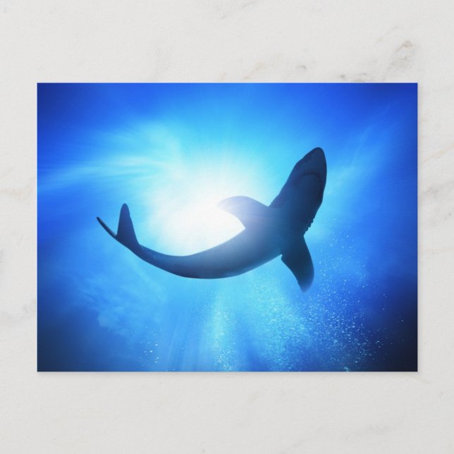 Postal Silhouette Deep Ocean Shark (Anverso)