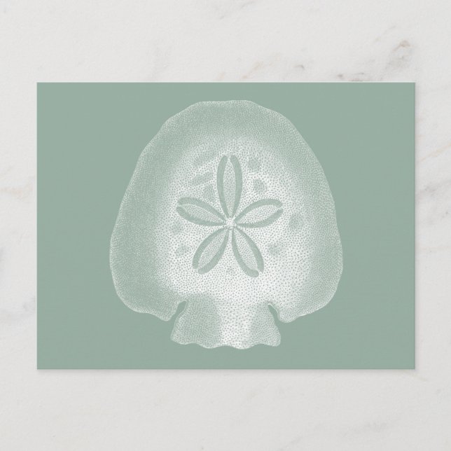Postal Silhouette Sand Dollar (Anverso)