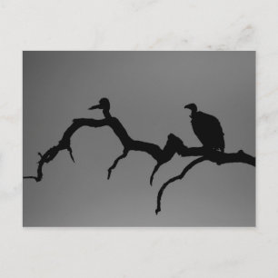 Postal Silhouette Vulture