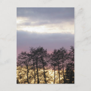 Postal Silhouettes de árbol al atardecer