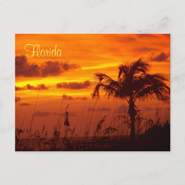 Postal Silhouettes de Florida (Anverso)