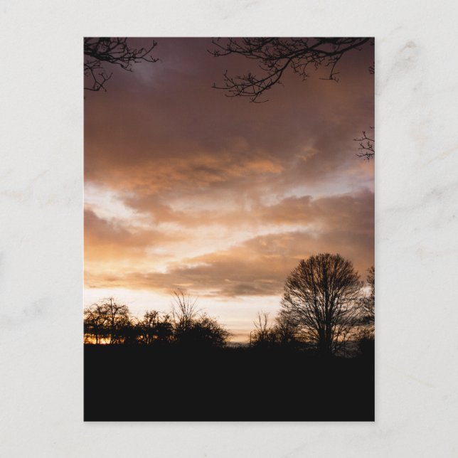 Postal Silhouettes Sunset (Anverso)