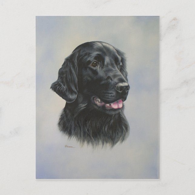 Postal Silka (Anverso)