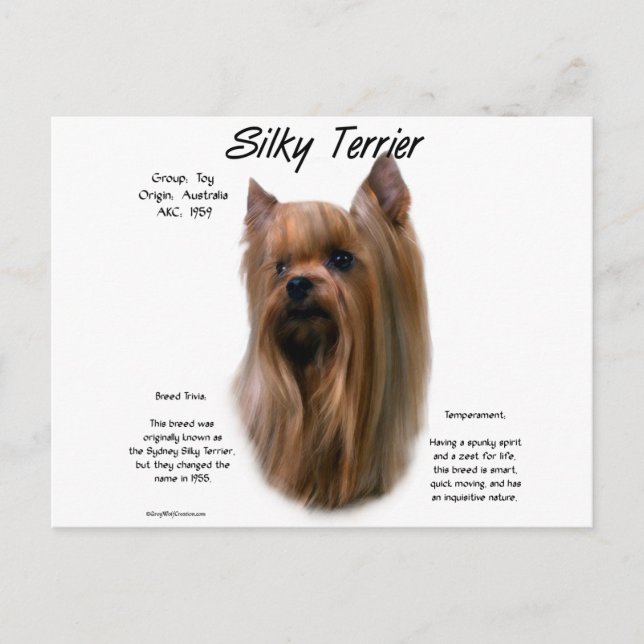 Postal Silky Terrier History Design (Anverso)