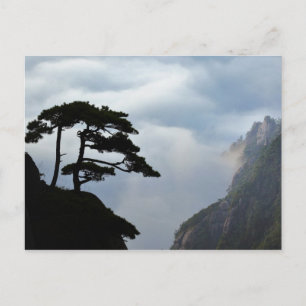 Postal Silla de árbol al amanecer, montaña amarilla,