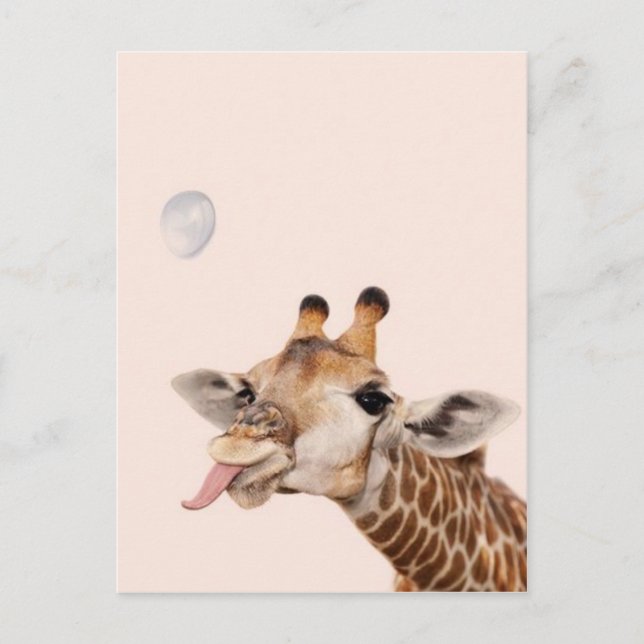 Postal Silly Giraffe (Anverso)