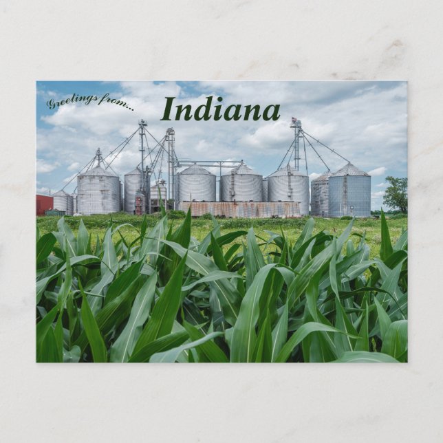 Postal Silos y un maizal en Indiana (Anverso)