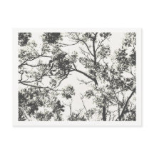 Silueta blanca y negra del árbol