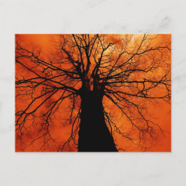 Postal Silueta de árbol contra un cielo Naranja