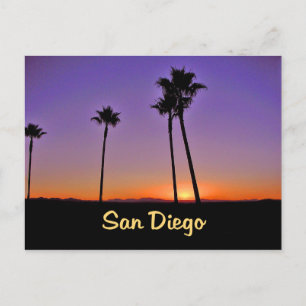 Postal Silueta De Árbol De Palma En San Diego