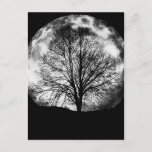 Postal Silueta de árbol frente a una luna llena