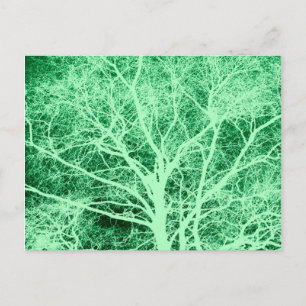 Postal Silueta de árbol verde