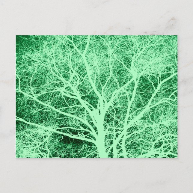 Postal Silueta de árbol verde (Anverso)