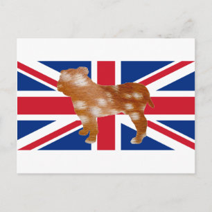 Postal Silueta de bulldog en barbecho de bandera