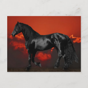 Postal Silueta de caballo al atardecer