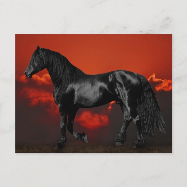 Postal Silueta de caballo al atardecer (Anverso)