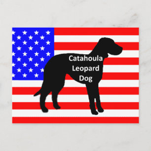 Postal silueta de catahoula nombre en bandera de ee.uu.