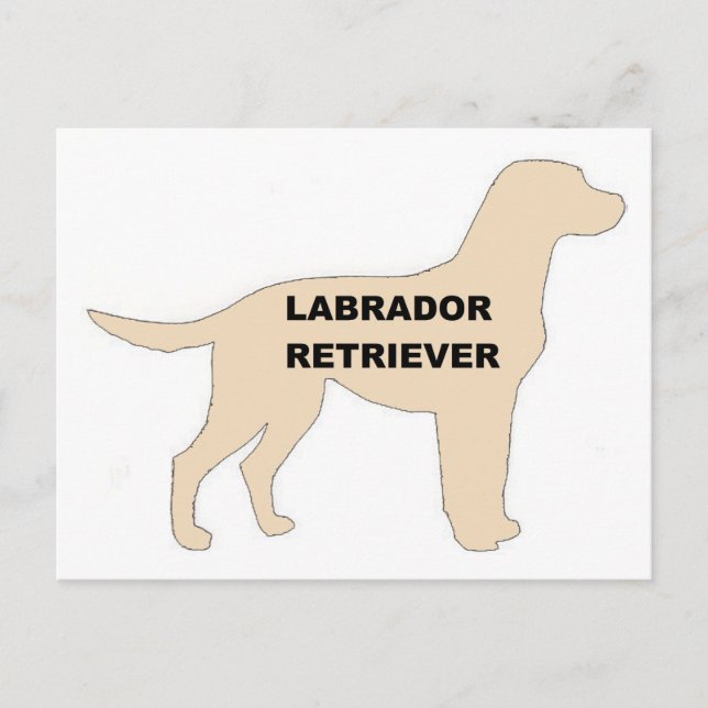 Postal Silueta de nombre amarillo LR (Anverso)