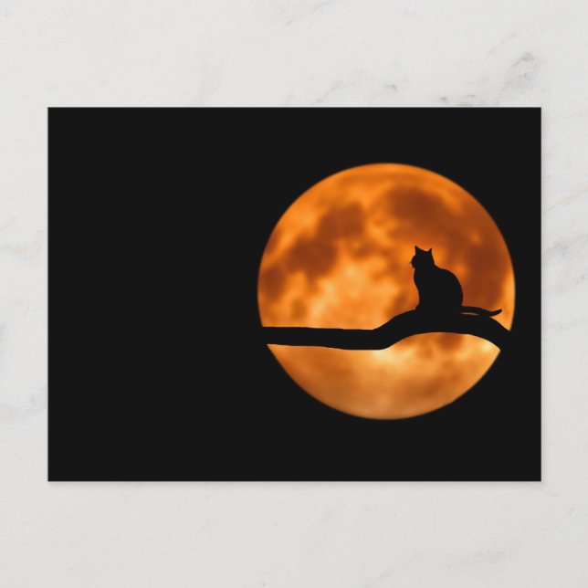 Postal Silueta de un gato negro en un árbol (Anverso)