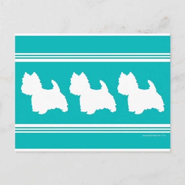 Postal Silueta de Westie sobre turquesa (Anverso)