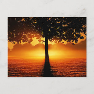 Postal Silueta del amanecer