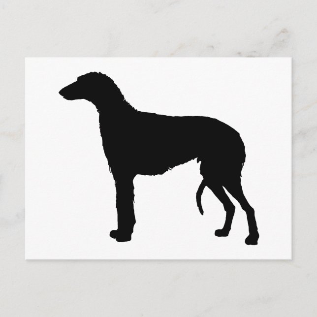 Postal silueta scottish deerhound (Anverso)