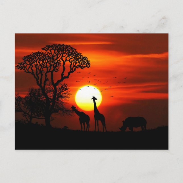 Postal Siluetas de animales de la puesta de sol de Safari (Anverso)