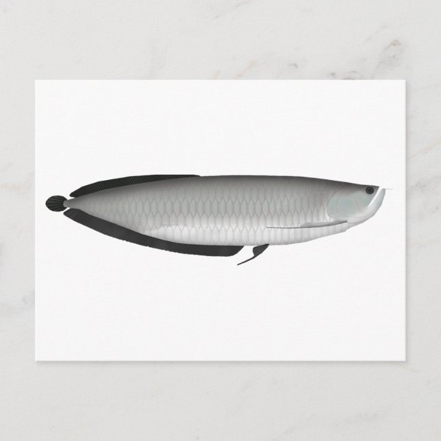 Postal Silver Arowana (Anverso)