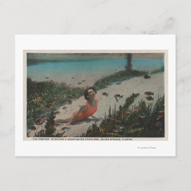 Postal Silver Springs, FL - mujer que nada bajo el agua (Anverso)