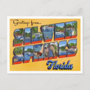 Postal Silver Springs, Florida Vintage Big Letters