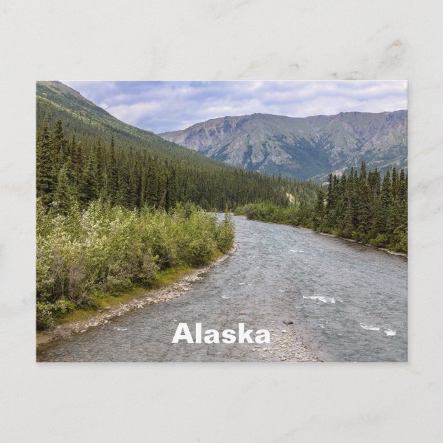 Postal Silvicultura de Alaskan (Anverso)